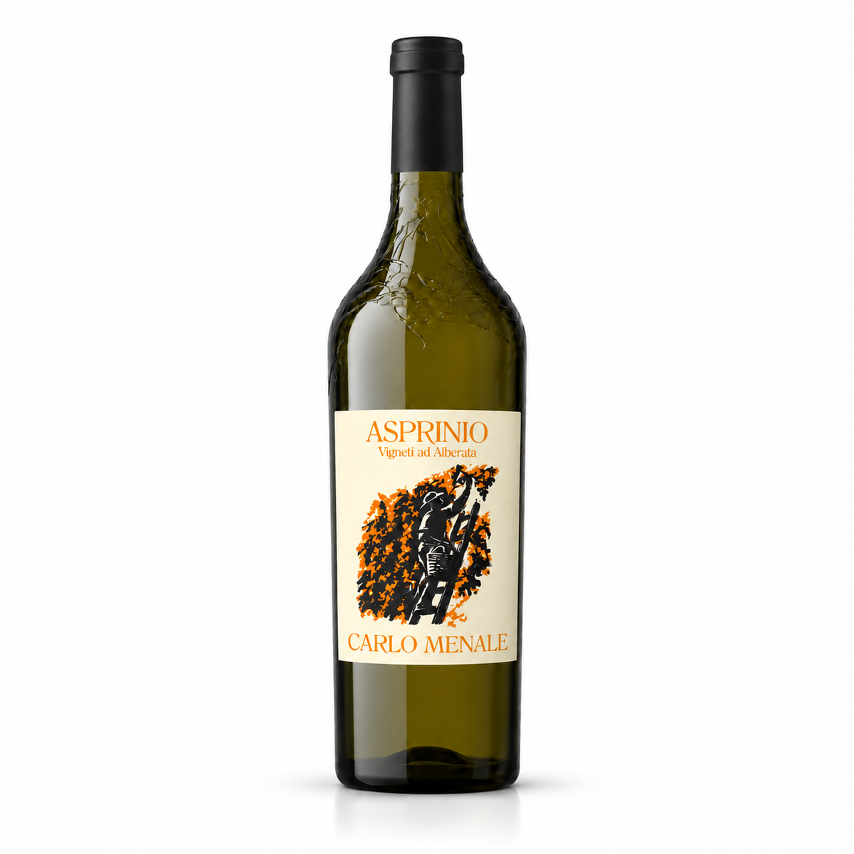 Asprinio Aversa DOP 2025 "Vigneti ad Alberata"